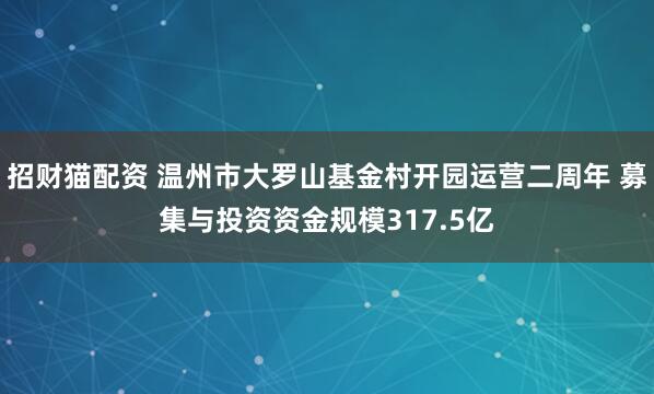 招财猫配资 温州市大罗山基金村开园运营二周年 募集与投资资金规模317.5亿