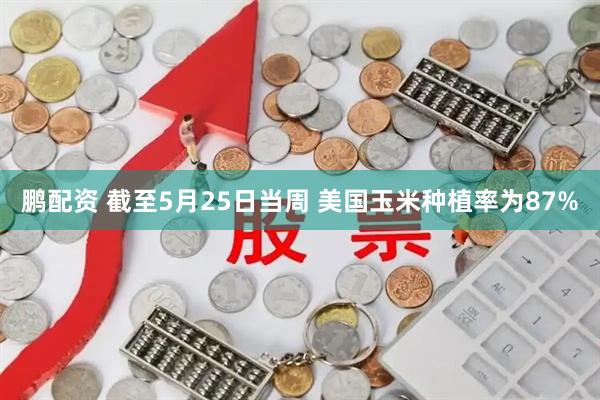 鹏配资 截至5月25日当周 美国玉米种植率为87%