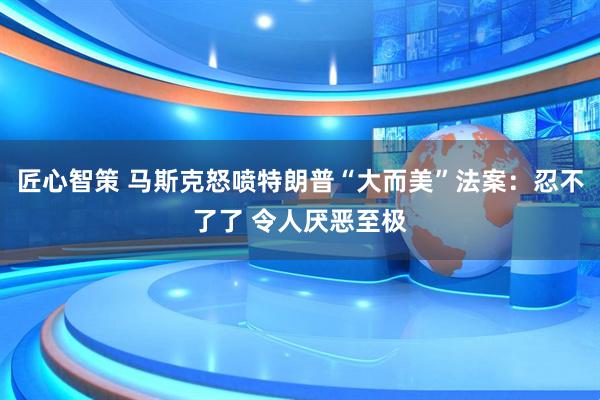 匠心智策 马斯克怒喷特朗普“大而美”法案：忍不了了 令人厌恶至极