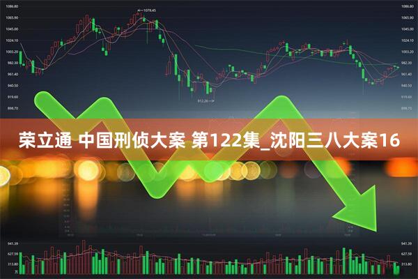 荣立通 中国刑侦大案 第122集_沈阳三八大案16
