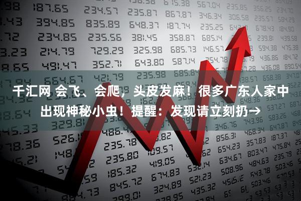 千汇网 会飞、会爬，头皮发麻！很多广东人家中出现神秘小虫！提醒：发现请立刻扔→