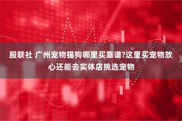 股联社 广州宠物猫狗哪里买靠谱?这里买宠物放心还能去实体店挑选宠物
