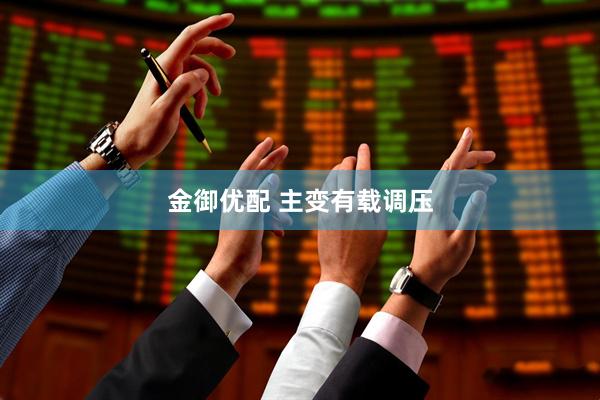金御优配 主变有载调压