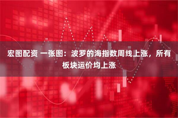 宏图配资 一张图：波罗的海指数周线上涨，所有板块运价均上涨
