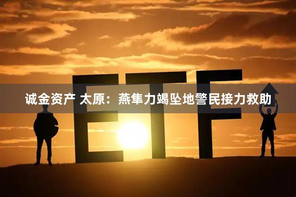 诚金资产 太原：燕隼力竭坠地警民接力救助