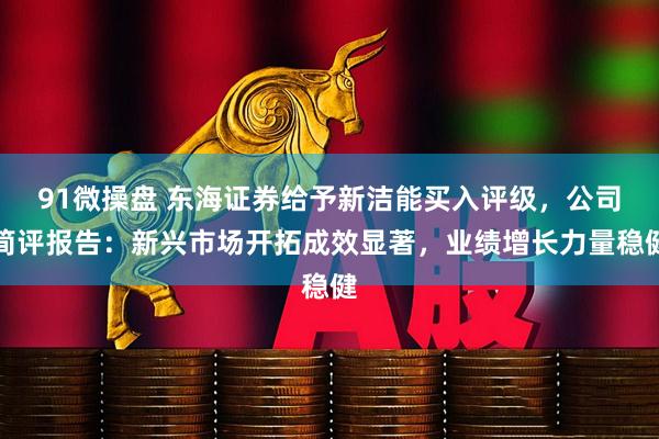 91微操盘 东海证券给予新洁能买入评级，公司简评报告：新兴市场开拓成效显著，业绩增长力量稳健