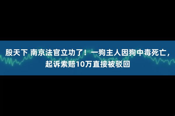 股天下 南京法官立功了！一狗主人因狗中毒死亡，起诉索赔10万直接被驳回