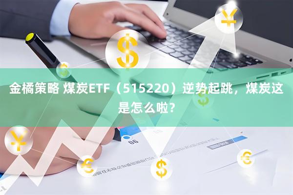 金橘策略 煤炭ETF（515220）逆势起跳，煤炭这是怎么啦？